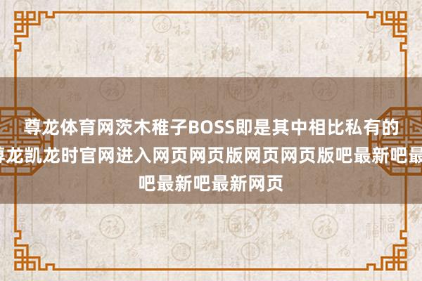 尊龙体育网茨木稚子BOSS即是其中相比私有的一个-尊龙凯龙时官网进入网页网页版网页网页版吧最新吧最新网页