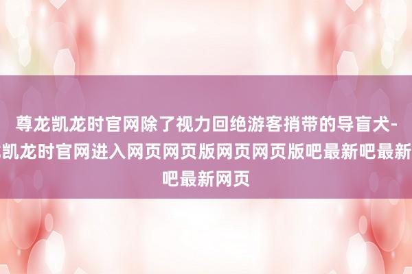 尊龙凯龙时官网除了视力回绝游客捎带的导盲犬-尊龙凯龙时官网进入网页网页版网页网页版吧最新吧最新网页