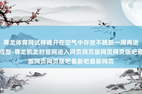 尊龙体育网试样摊开在空气中存放不跳跃一周再进行压蒸试件的成型-尊龙凯龙时官网进入网页网页版网页网页版吧最新吧最新网页