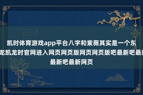 凯时体育游戏app平台八字和紫薇其实是一个东西-尊龙凯龙时官网进入网页网页版网页网页版吧最新吧最新网页