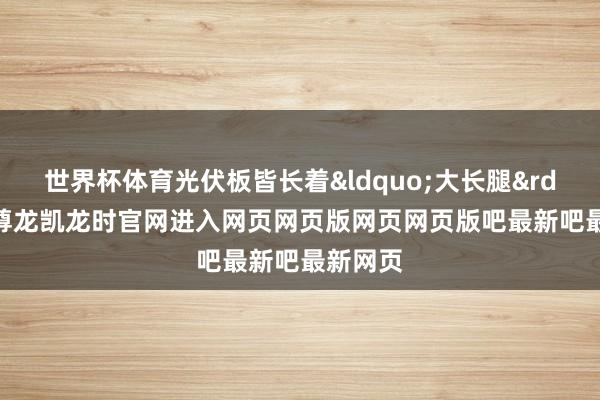 世界杯体育光伏板皆长着&ldquo;大长腿&rdquo;-尊龙凯龙时官网进入网页网页版网页网页版吧最新吧最新网页