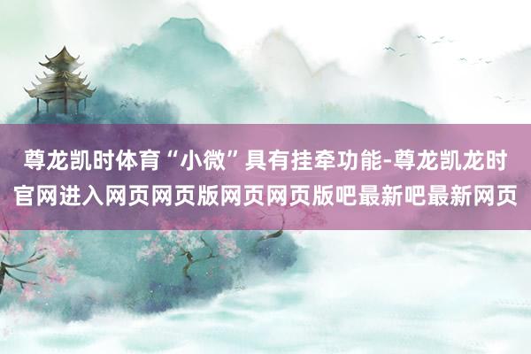尊龙凯时体育“小微”具有挂牵功能-尊龙凯龙时官网进入网页网页版网页网页版吧最新吧最新网页