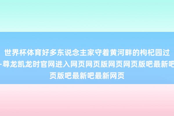 世界杯体育好多东说念主家守着黄河畔的枸杞园过了一辈子-尊龙凯龙时官网进入网页网页版网页网页版吧最新吧最新网页