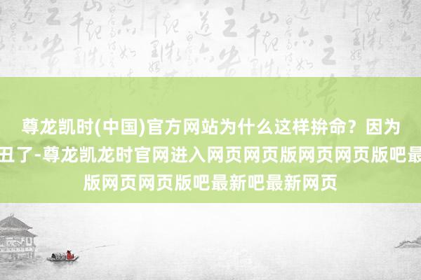 尊龙凯时(中国)官方网站为什么这样拚命？因为大盘确切太出丑了-尊龙凯龙时官网进入网页网页版网页网页版吧最新吧最新网页