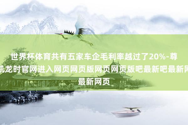 世界杯体育共有五家车企毛利率越过了20%-尊龙凯龙时官网进入网页网页版网页网页版吧最新吧最新网页