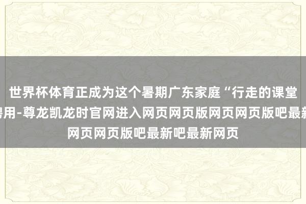 世界杯体育正成为这个暑期广东家庭“行走的课堂”最热门的聘用-尊龙凯龙时官网进入网页网页版网页网页版吧最新吧最新网页