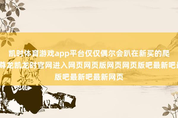凯时体育游戏app平台仅仅偶尔会趴在新买的爬行垫上-尊龙凯龙时官网进入网页网页版网页网页版吧最新吧最新网页