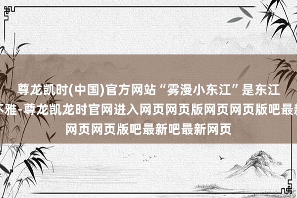 尊龙凯时(中国)官方网站“雾漫小东江”是东江湖代表性景不雅-尊龙凯龙时官网进入网页网页版网页网页版吧最新吧最新网页