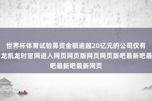 世界杯体育试验募资金额逾越20亿元的公司仅有2家-尊龙凯龙时官网进入网页网页版网页网页版吧最新吧最新网页